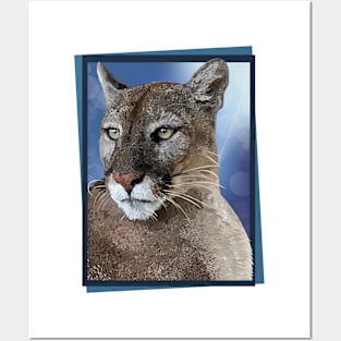 Cougar Posters and Art